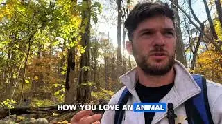 Do you actually love animals?