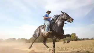 FAST ROWDY RACKING HORSE &ldquo;ONE WAY TICKET&rdquo;
