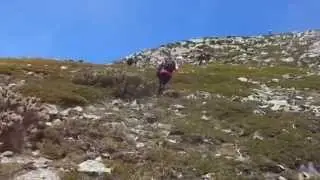 XLII Ruta de senderismo SUBIDA AL CORISCAO