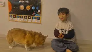 6세 아이 강아지 키우기!! Daniel & samsoon