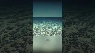 The Mysterious Discovery of 