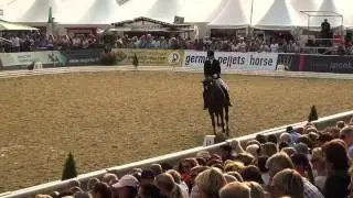 Quantensprung : Quando Quando X Donnerhall   Hannoveraner Stallions Bundeschampionate 2014 Final Qua