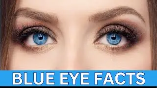 Blue Eye Facts | Facts about People with Blue Eyes | Eye Color Facts