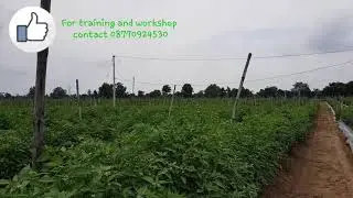 Workshop program