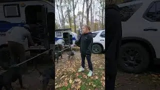 Fall season Canada 🇨🇦  #discoveringcanada #campingtrip #outdooractivities #relaxingvideo 