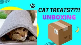 These Cat Treats Drive Our Pets Absolutely Wild #belovedpets