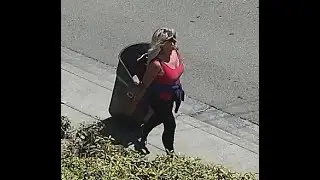 MY CRACKHEAD NEIGHBOR - Walking Her Garbage Can