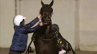 Gran Premio Allevatori - MASAF - 2025 - Maschi