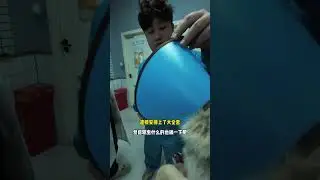 First Ever: Witness the Miraculous Rescue of a Lost Dog on Camera