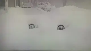 New York reports 34 dead following weekend storm