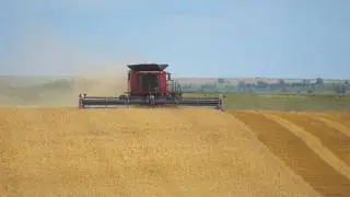 LaRosh Wheat Harvest 2025 - Kelli's Day