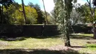Mexico Travel: Excursions near Morelia - Quiroga, Tzintzuntzan, Janitzio, Patzcuaro