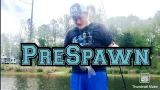 Pre-Spawn Smoking Them On A Spinnerbait Lake Murray SC 2020