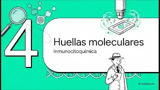 1 Técnicas Técnica Histológica