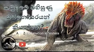 What are Dinosaurs? | Cool Dinosaur facts  | සරලව සිංහලෙන් ඩයිනෝසෝරයන් ගැන ඉගෙනගමු | SL Dinosaur