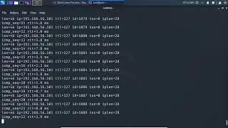 4 8 Discovering the hping3 tool