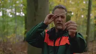 How to establish a Bitterlich (Relascope) plot with the Dendrometer or wedge prism