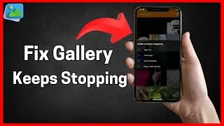 How to Fix Gallery keeps stopping (Full Guide)