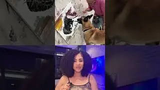 When A DOG Uses His Gifts For God #jesus #painting #dog