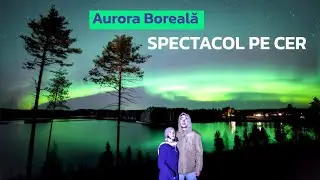 Aurora Boreala e MAGICA in Laponia: Ce altceva mai ascunde Nordul Suediei?