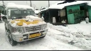 Heavy Snowfall at Zuluk toda|| our guests Enjoy the heavy Snowfall