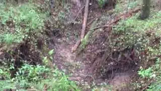Sinkhole on The Big Oak Trail in Twin Rivers State Forest