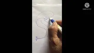 How to drawlogo with letter S