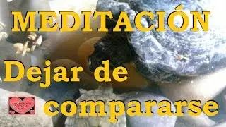 MEDITACI&Oacute;N. Dejar de compararse.