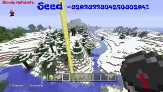 Minecraft Epic Bonus Chest Seed