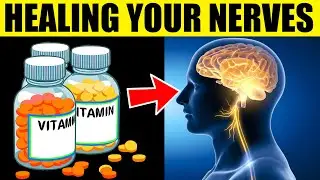 8 Best Vitamins for Naturally Healing Your Nerves