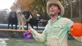 Friday at the farm