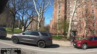 Forest Projects (Bronx Hood)