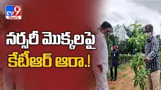 Let's go big on Haritha Haram: KTR - TV9