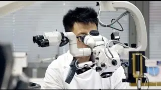 Bachelor of Clinical Science