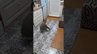 Аутизм, проявления, стимы, вокализации.