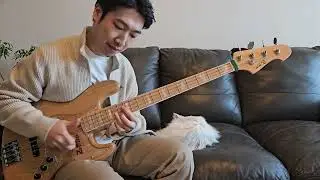 AtelierZ m245 Custom Jazz Bass [Sound Sample]