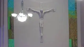 Sunday Mass 02/01/2026 | Saint Elizabeth Ann Seton Church | Springfield, Missouri