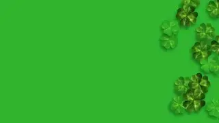 Celebrating St Patrick's Day with Falling Background stock footage | stock video | Cinefootage