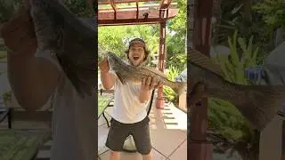 24.5 INCH CORBINA! Catch & Cook 🎣🍣🔥