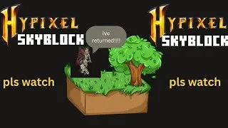 [MC] Coming back to Hypixel Skyblock