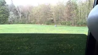 55 gallon works bomb