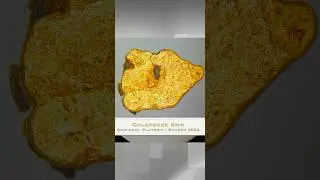 Goldwaschen in Bayern - In Bayern gibt's das gr&ouml;&szlig;te Gold .. hei&szlig;t es. #goldwaschen #gold