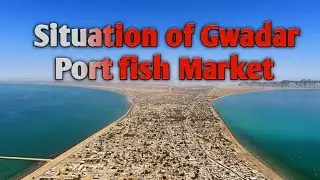 How Gwadar fish market works