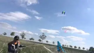 Squid kite