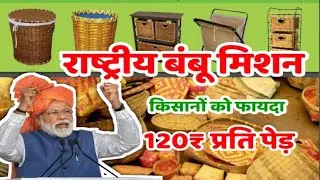 PM NATIONAL BAMBOO MISSION NATIONAL BAMBOO MISSION APPLY ONLINE - 2019 -20