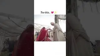 nischay ruchika wedding 🥹❤✨ dimple malhan vlogs #shorts #triggeredinsaan #ruchikarathore