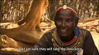 Developing the world's first insurance for African pastoralists
