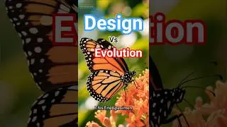 Design vs Evolution #jesus #walkinspiritoftheholyspirit