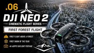 First Forest Flight with the DJI Neo 2 &mdash; A Tiny Companion in the First Snow