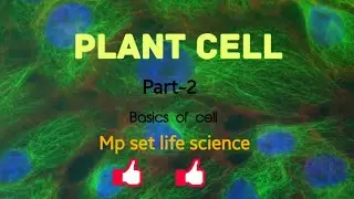 Basics of plant cell for life science set exam